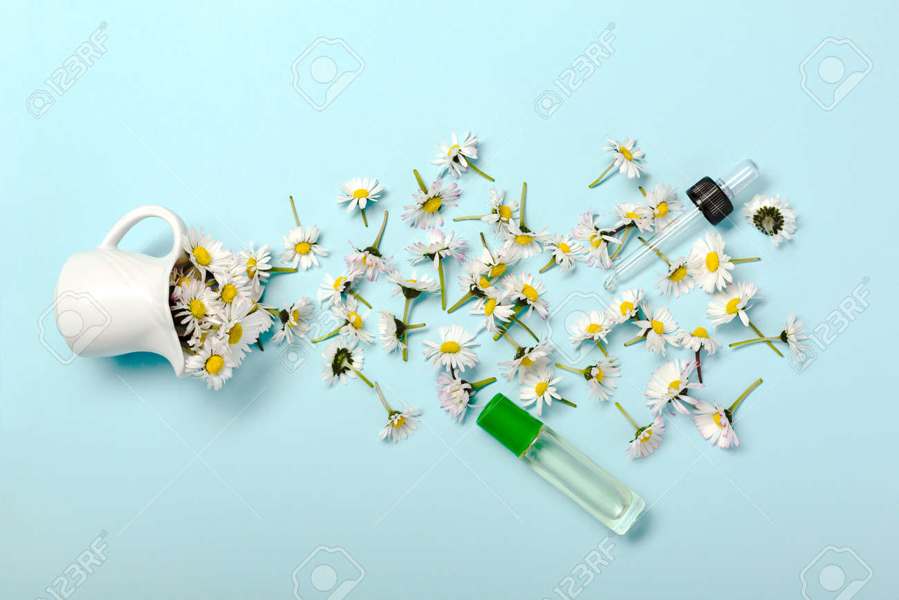 Pattern with daisy flowers and bottle on pastel blue - 167780052 Pattern with daisy flowers and bottle on pastel blue - 167780052
