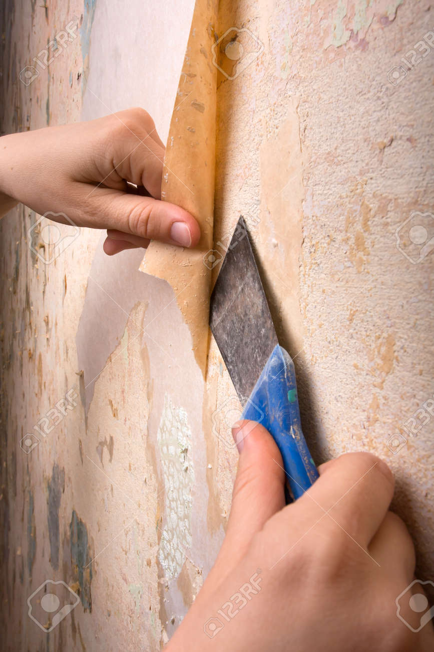 Manos La Eliminacion Del Papel Pintado De La Pared Fotos Retratos
