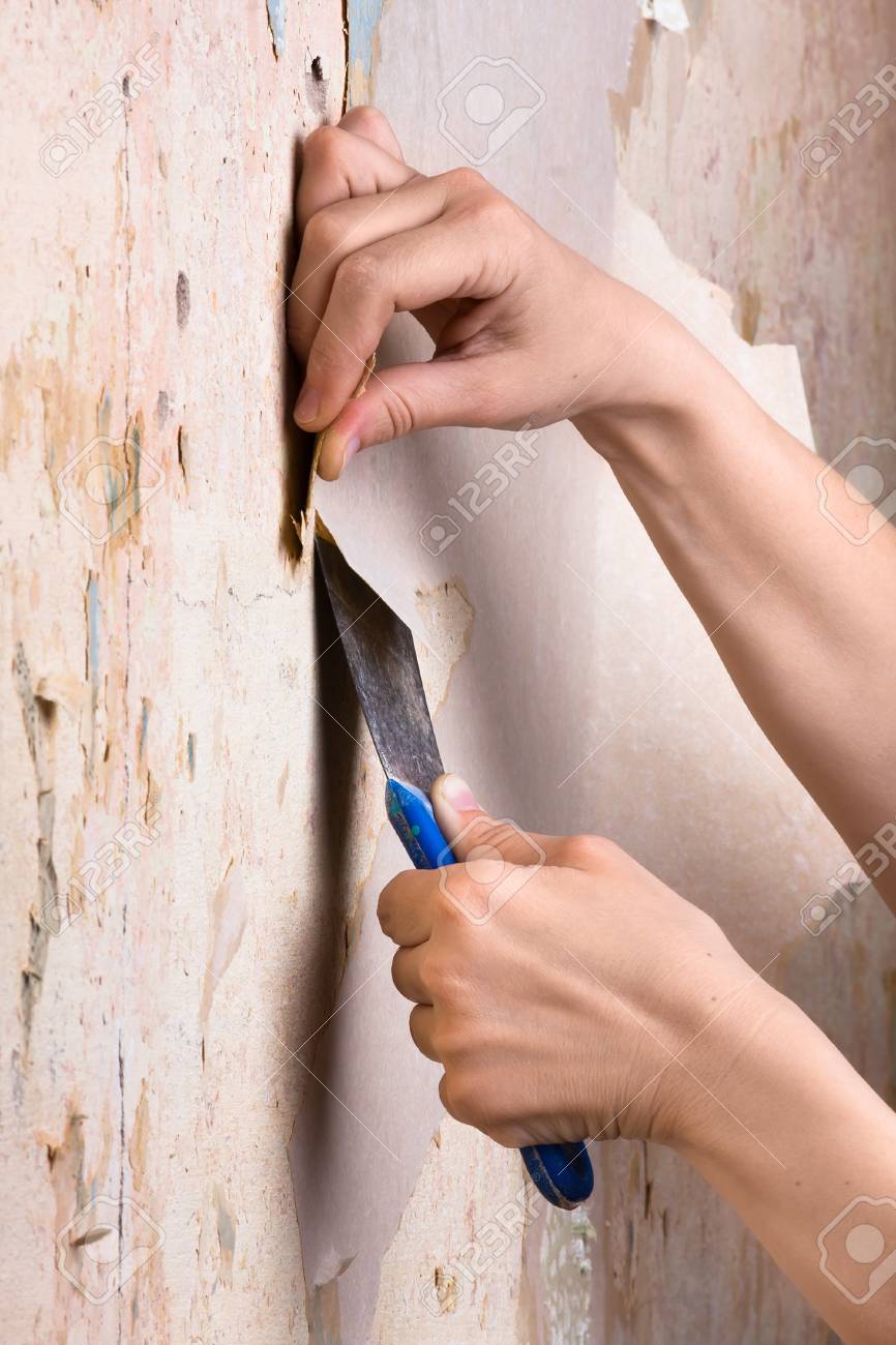 Manos La Eliminacion Del Papel Pintado De La Pared Fotos Retratos