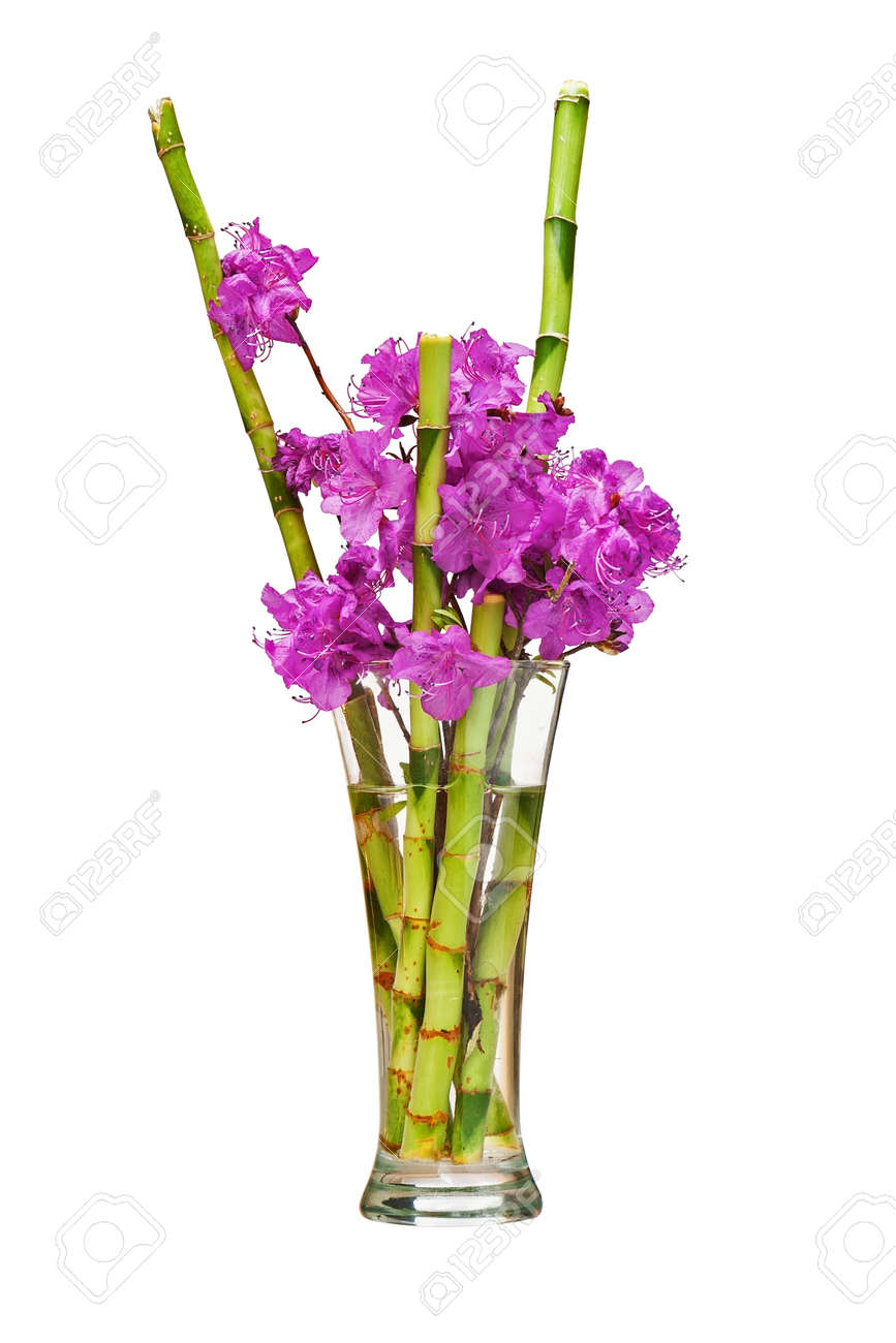 カラフルな花の花束は 白い背景で隔離のガラス花瓶の中でブランチと緑竹配置中心に紫のシャクナゲの花から クローズ アップ の写真素材 画像素材 Image