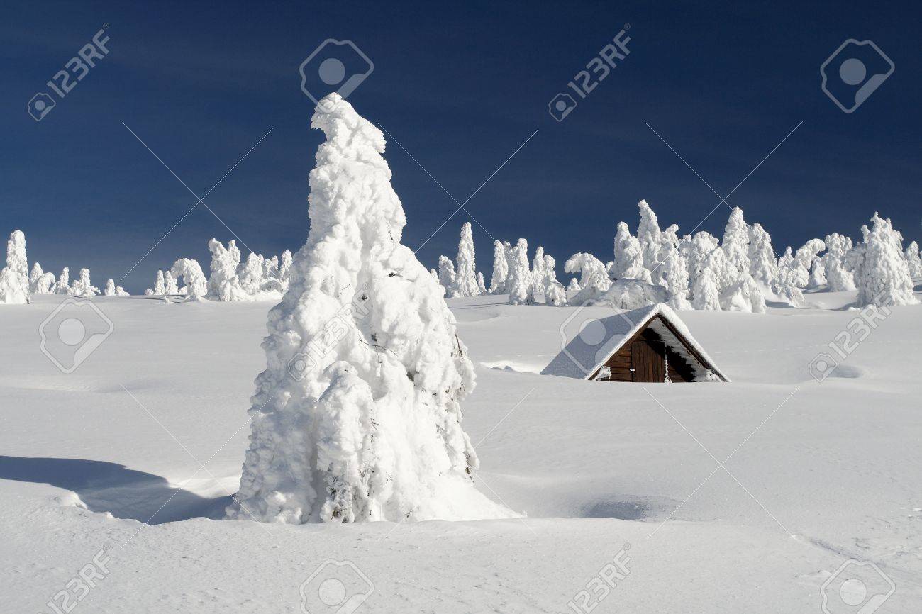 Snowbound