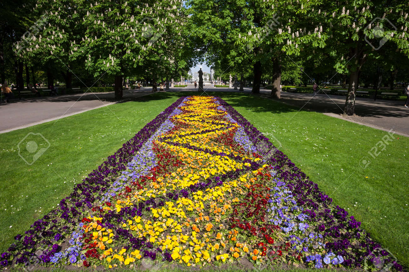 spring flowers flowerbed lawn