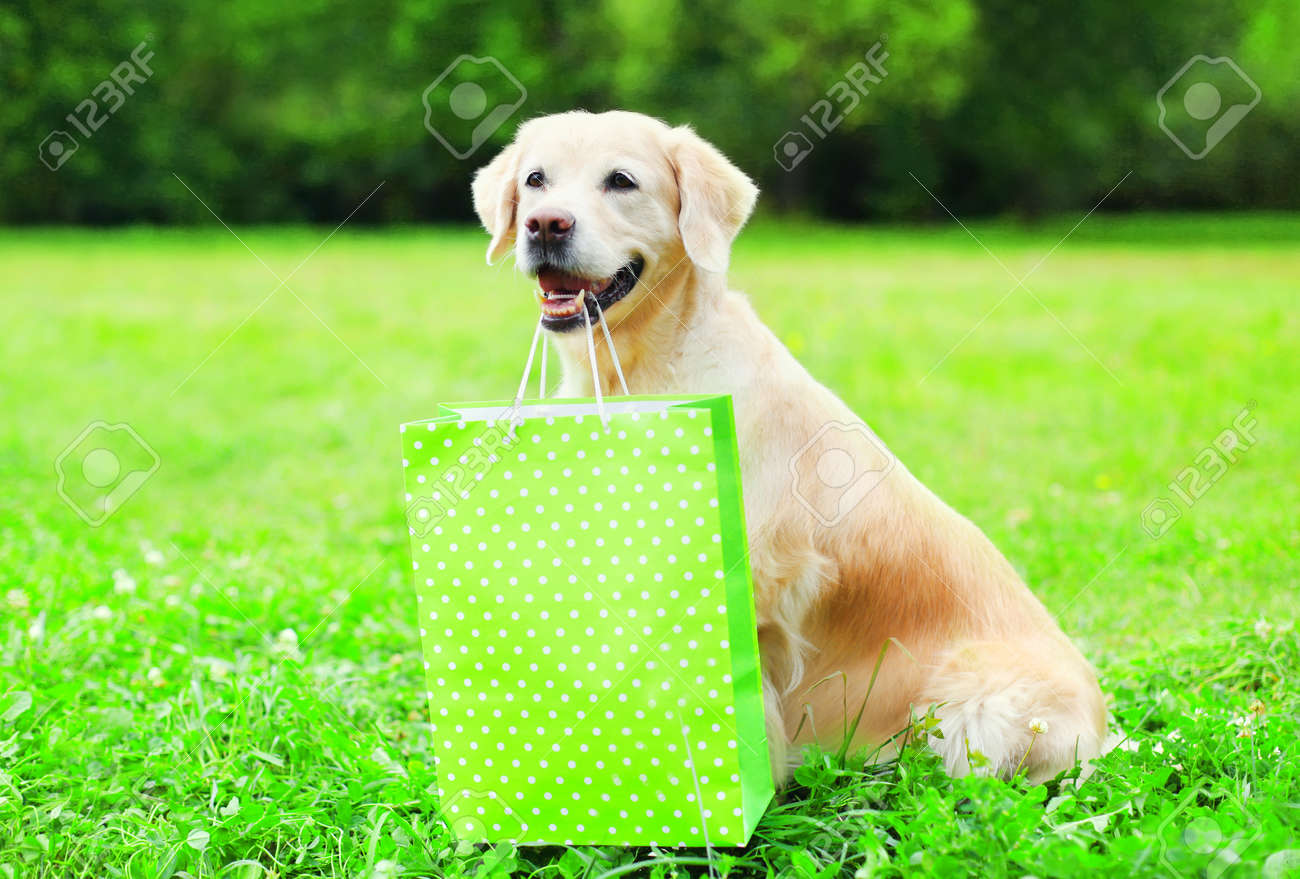 dog holding bag