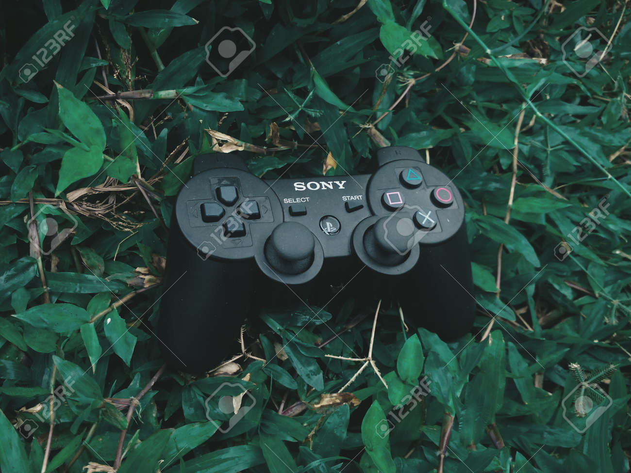 etiam-dictum-ipsum-a-felis