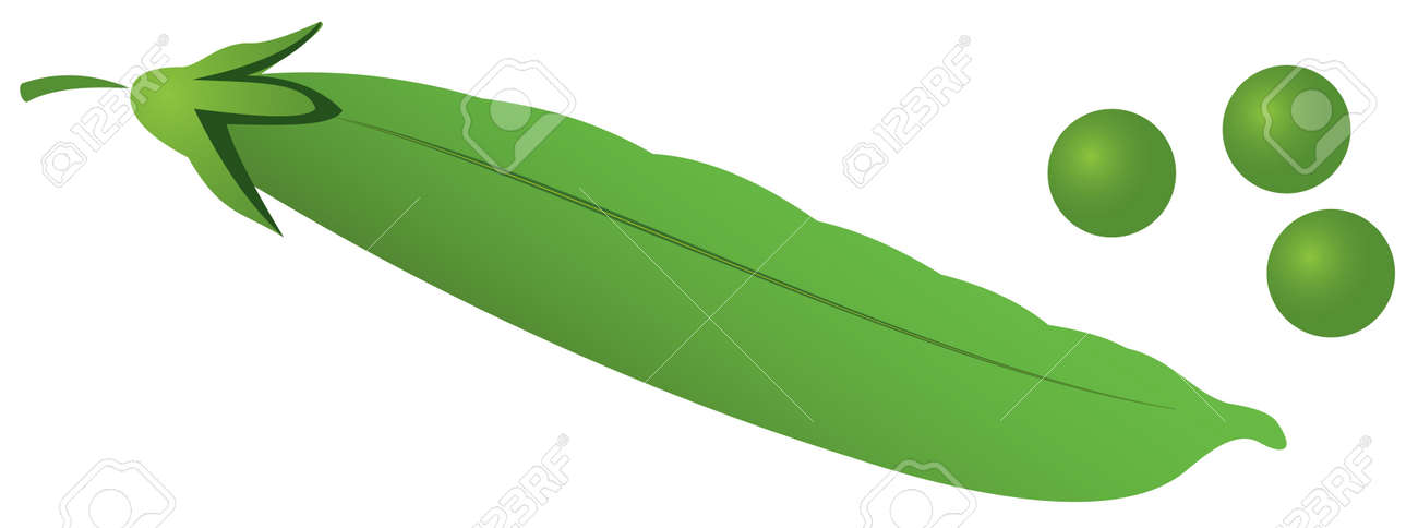 白い背景の上のエンドウ豆 エンドウ豆の鞘のイラスト のイラスト素材 ベクタ Image