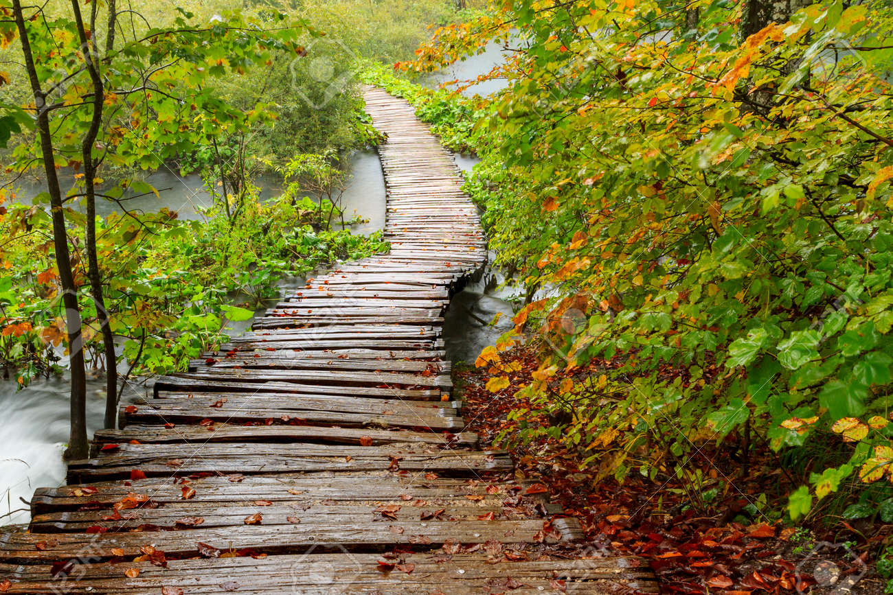 wood path in the plitvice national park in autumn croatia stock
