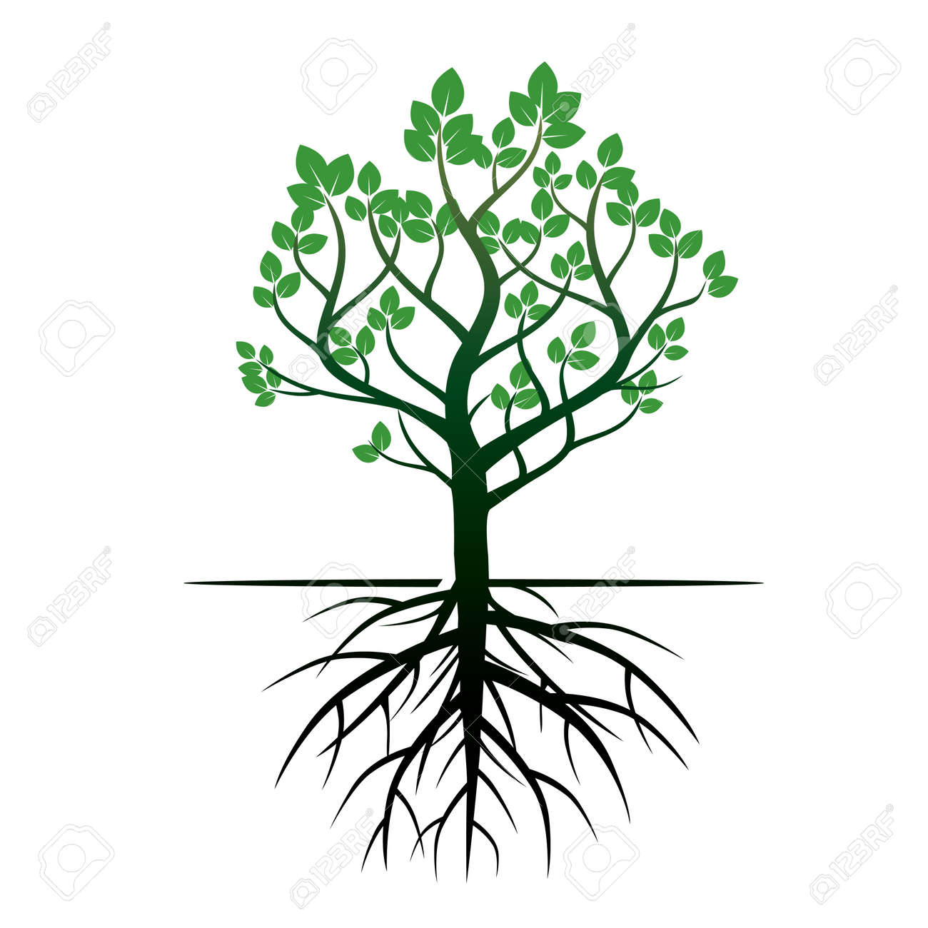 Arbol Y Raices Verde Ilustraciones Vectoriales Clip Art Vectorizado Libre De Derechos Image