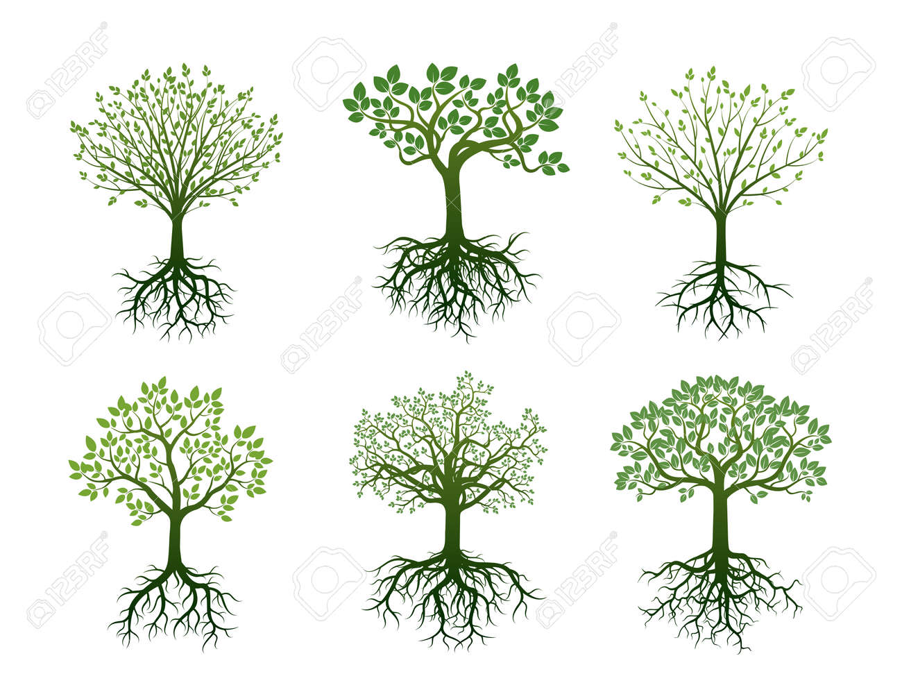 Set of Green Trees with Roots. Vector Illustration. - 59589879 Set of Green Trees with Roots. Vector Illustration. - 59589879