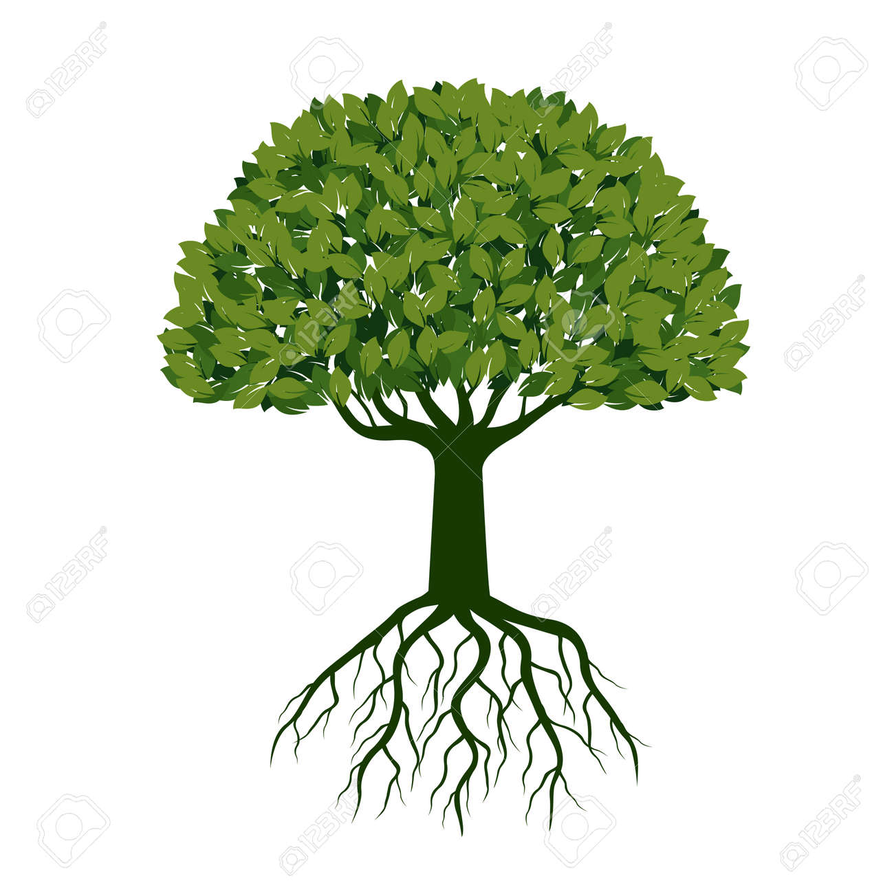 Green Tree With Leaves And Roots Vector Illustration Royalty Free Cliparts Vectors And Stock Illustration Image Green Tree With Leaves And Roots Vector Illustration Royalty Free Cliparts Vectors And Stock Illustration Image
