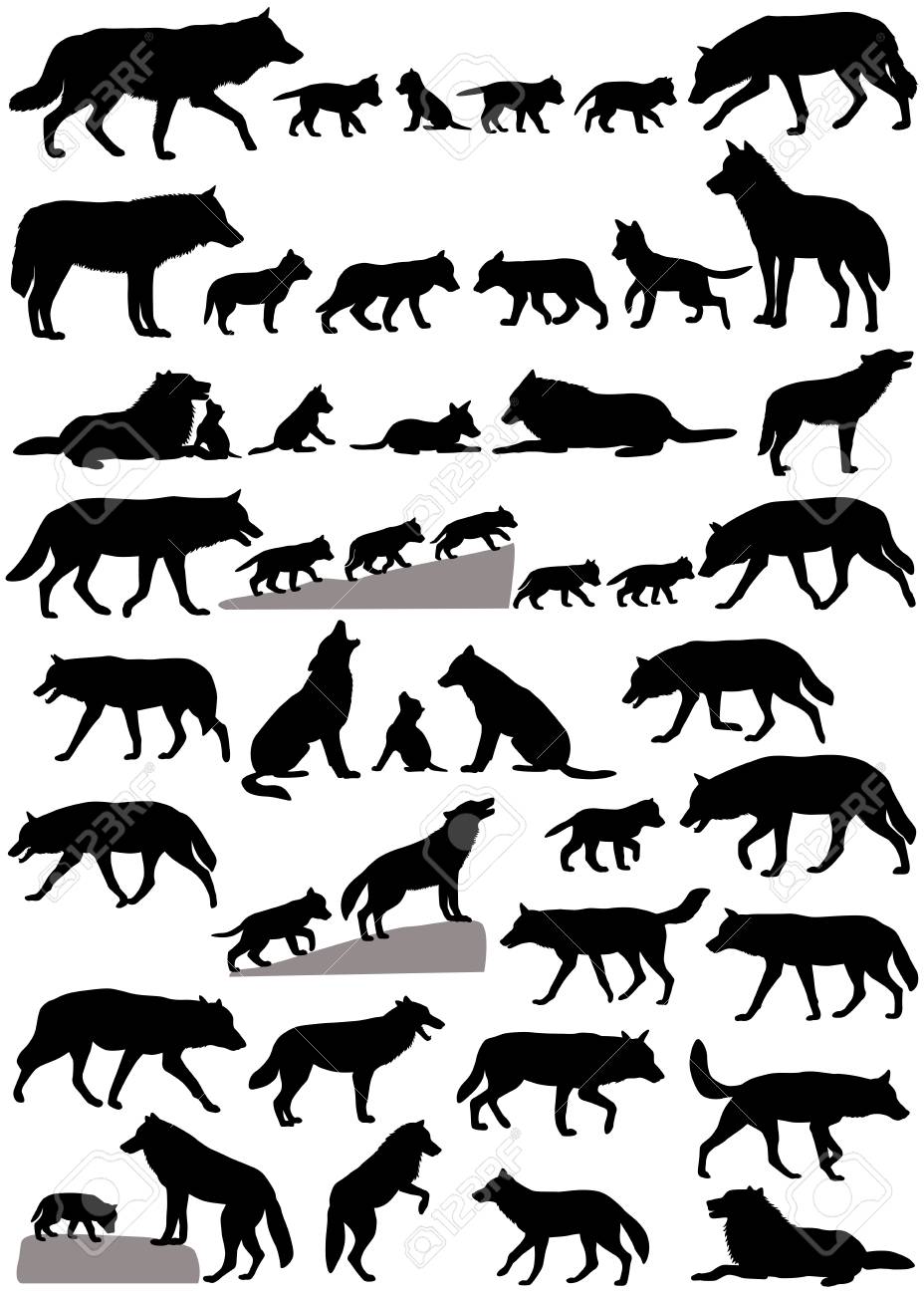 Collection of silhouettes of wolves and wolf-cubs - 102689800 Collection of silhouettes of wolves and wolf-cubs - 102689800