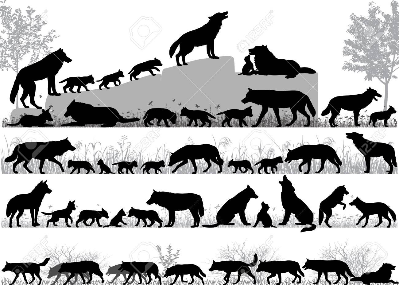 Silhouettes of wolves and its cubs outdoors - 102668175 Silhouettes of wolves and its cubs outdoors - 102668175