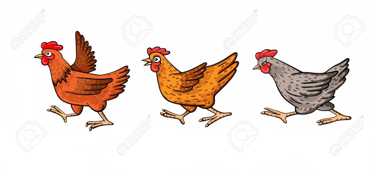 Three Funny Cartoon Chickens Stock Photo, Picture And Royalty Free Image. Image 136317576. Three Funny Cartoon Chickens Stock Photo, Picture And Royalty Free Image. Image 136317576.