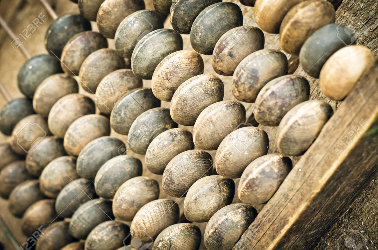 etiam-dictum-ipsum-a-felis