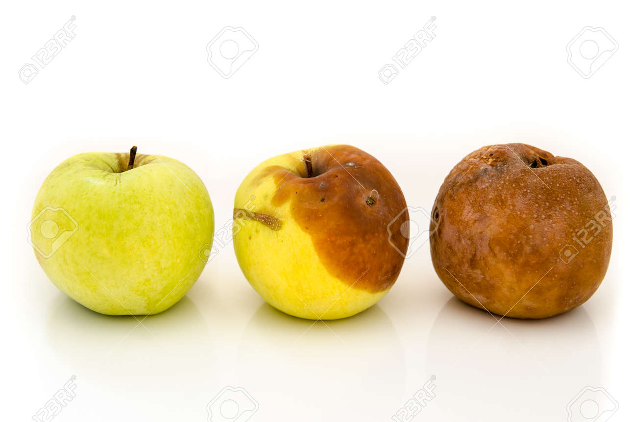 6,727 Rotten Apple Stock Photos - Free & Royalty-Free Stock Photos from  Dreamstime