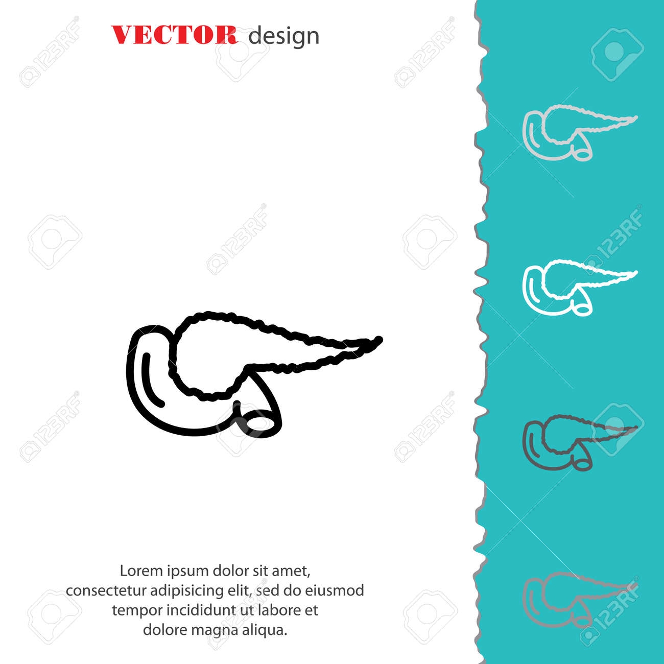 Web 行のアイコン 膵臓のイラスト素材 ベクタ Image