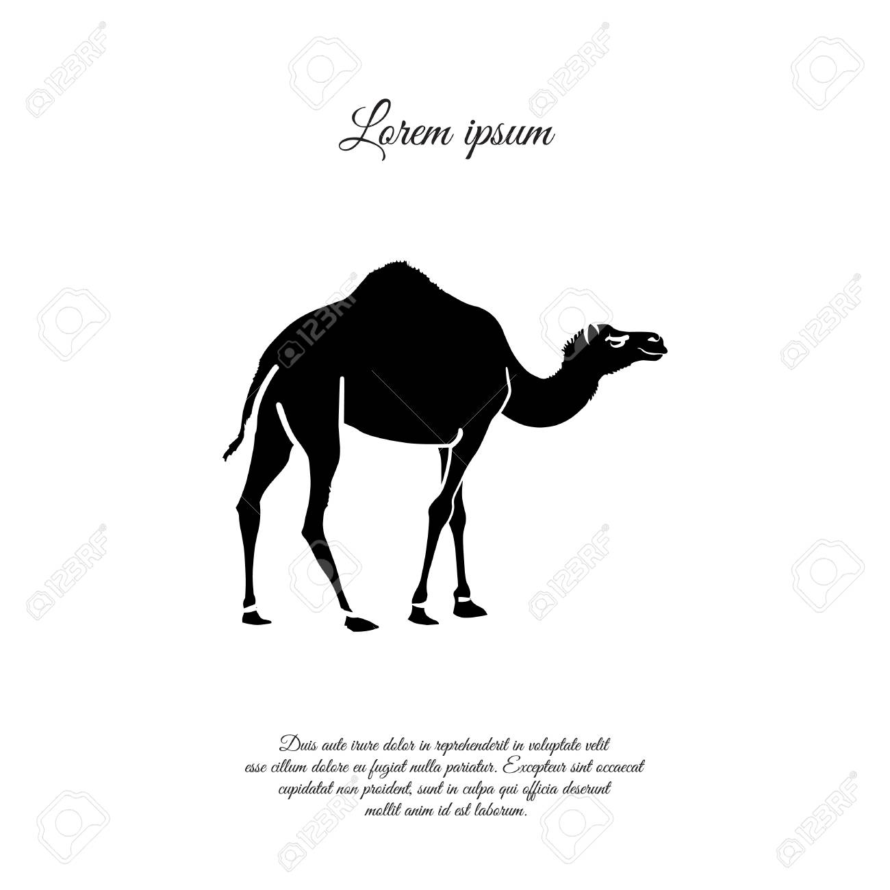 白い背景にラクダのアイコンのイラスト のイラスト素材 ベクタ Image 95892256