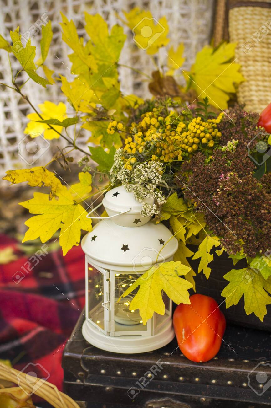 Decorations For Autumn Picnic In Forest Retro Photo In Nature Stock Photo Picture And Royalty Free Image Image 156824359