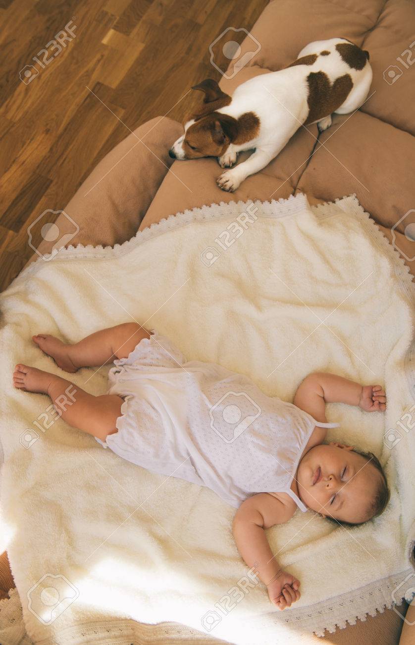 ジャック ラッセル テリア犬とベッドで一緒に寝て 3 月のかわいい赤ちゃん の写真素材 画像素材 Image ジャック ラッセル テリア犬とベッドで一緒に寝て 3 月のかわいい赤ちゃん の写真素材 画像素材 Image
