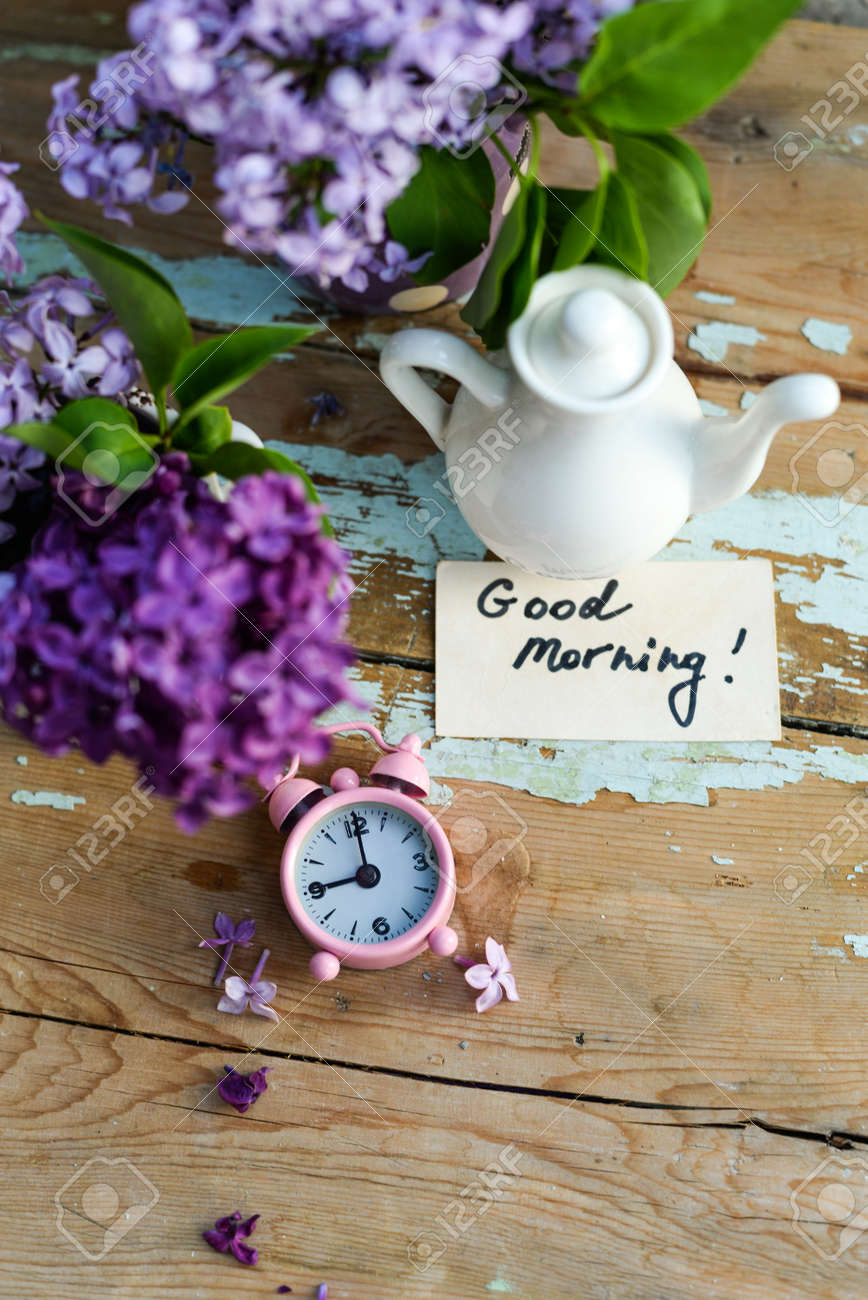 two tone lilac flowers in a ceramic pots white and purple with