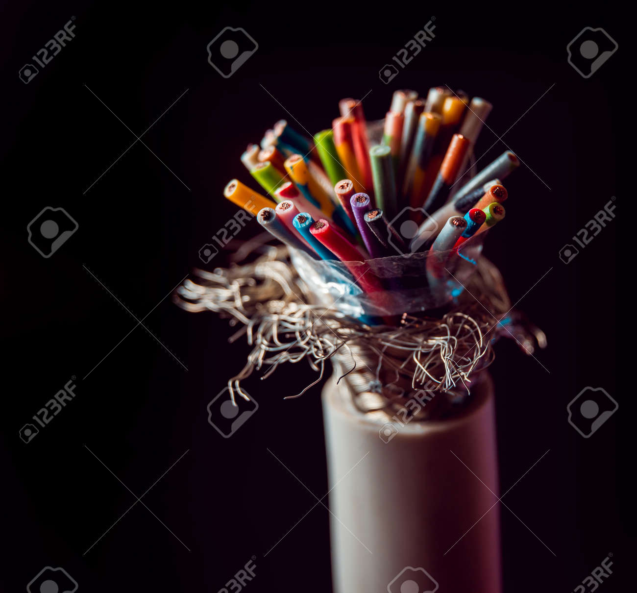 etiam-dictum-ipsum-a-felis