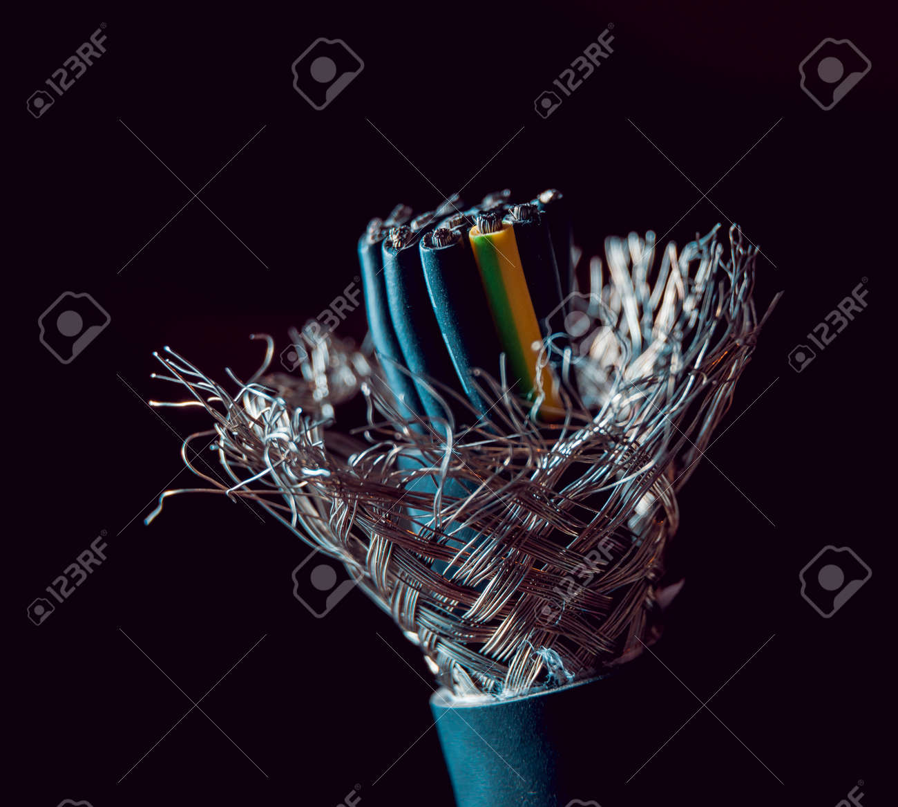 etiam-dictum-ipsum-a-felis