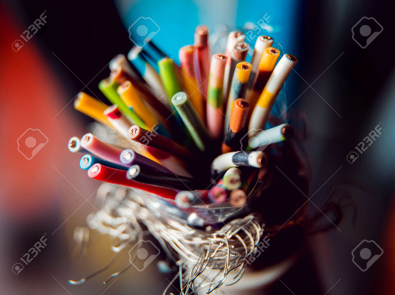 etiam-dictum-ipsum-a-felis