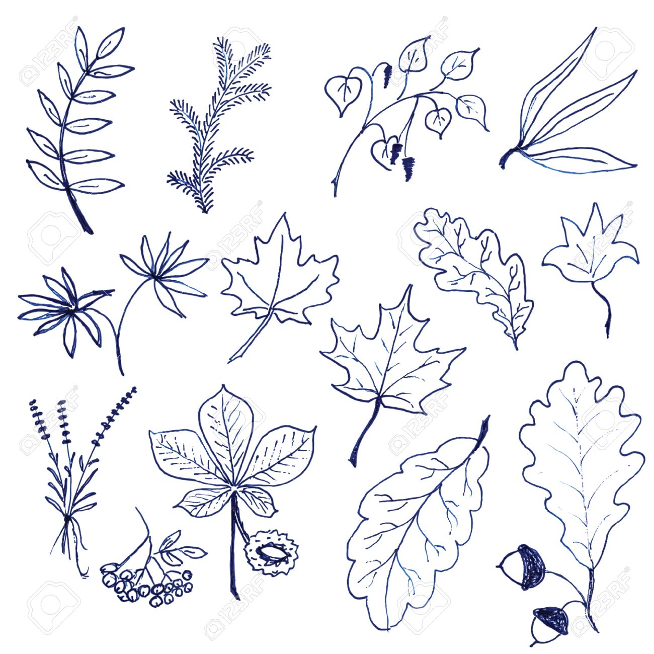 set of hand drawn