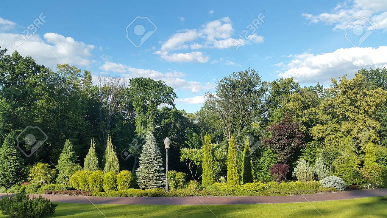 Schöne Bäume Im Garten Lizenzfreie Fotos, Bilder Und Stock ... Schöne Bäume Im Garten Lizenzfreie Fotos, Bilder Und Stock ...