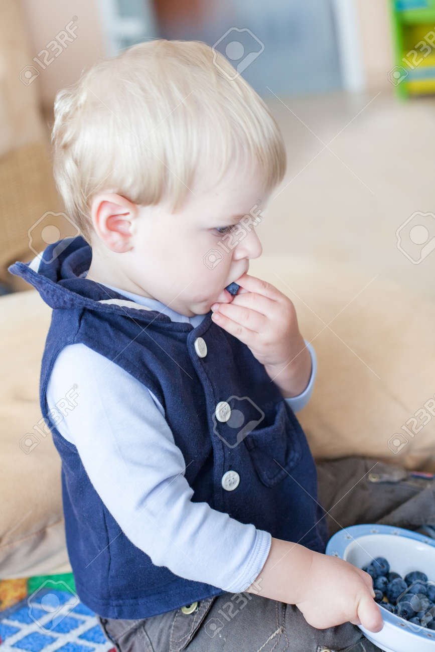 室内の新鮮なブルーベリーを食べる幼児男の子 の写真素材 画像素材 Image
