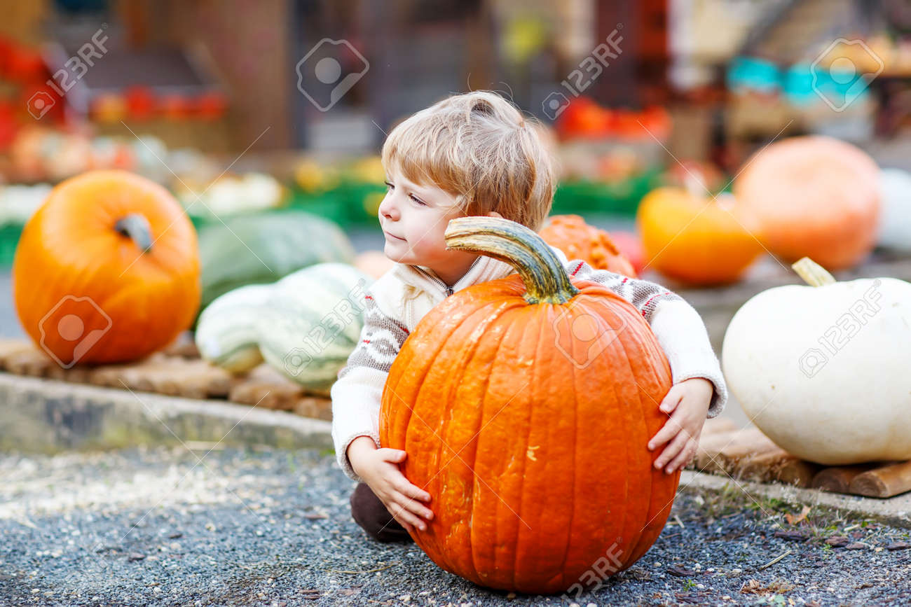 ハロウィーンやサンクスギビングの収穫祭やパッチ 屋外の巨大なカボチャの座っているかわいい子供男の子 の写真素材 画像素材 Image