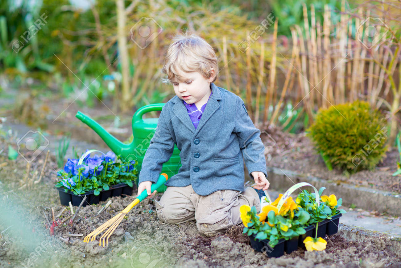 Little Kid Boy Helping With Gardening In Spring Garden Funny Child Planting Flowers Family Spring Planting Concept Stock Photo Picture And Royalty Free Image Image 54792563
