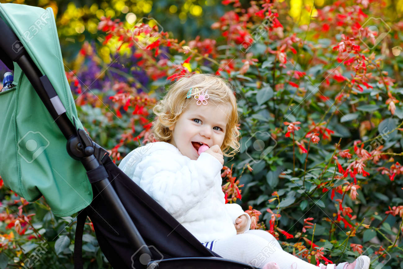 toddler girl stroller