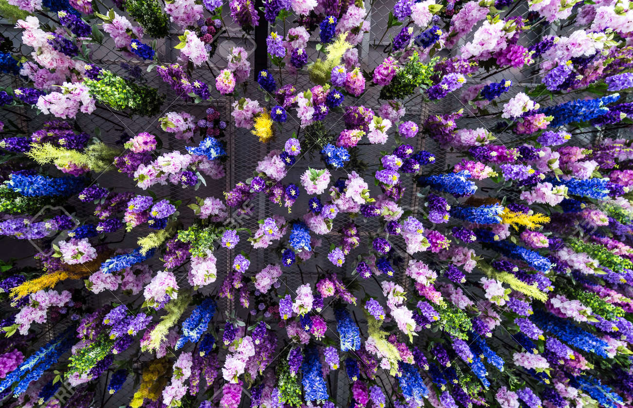 天井に色とりどりの花天井に様々な種類の花が掛けられていました 高級感と背景に の写真素材 画像素材 Image
