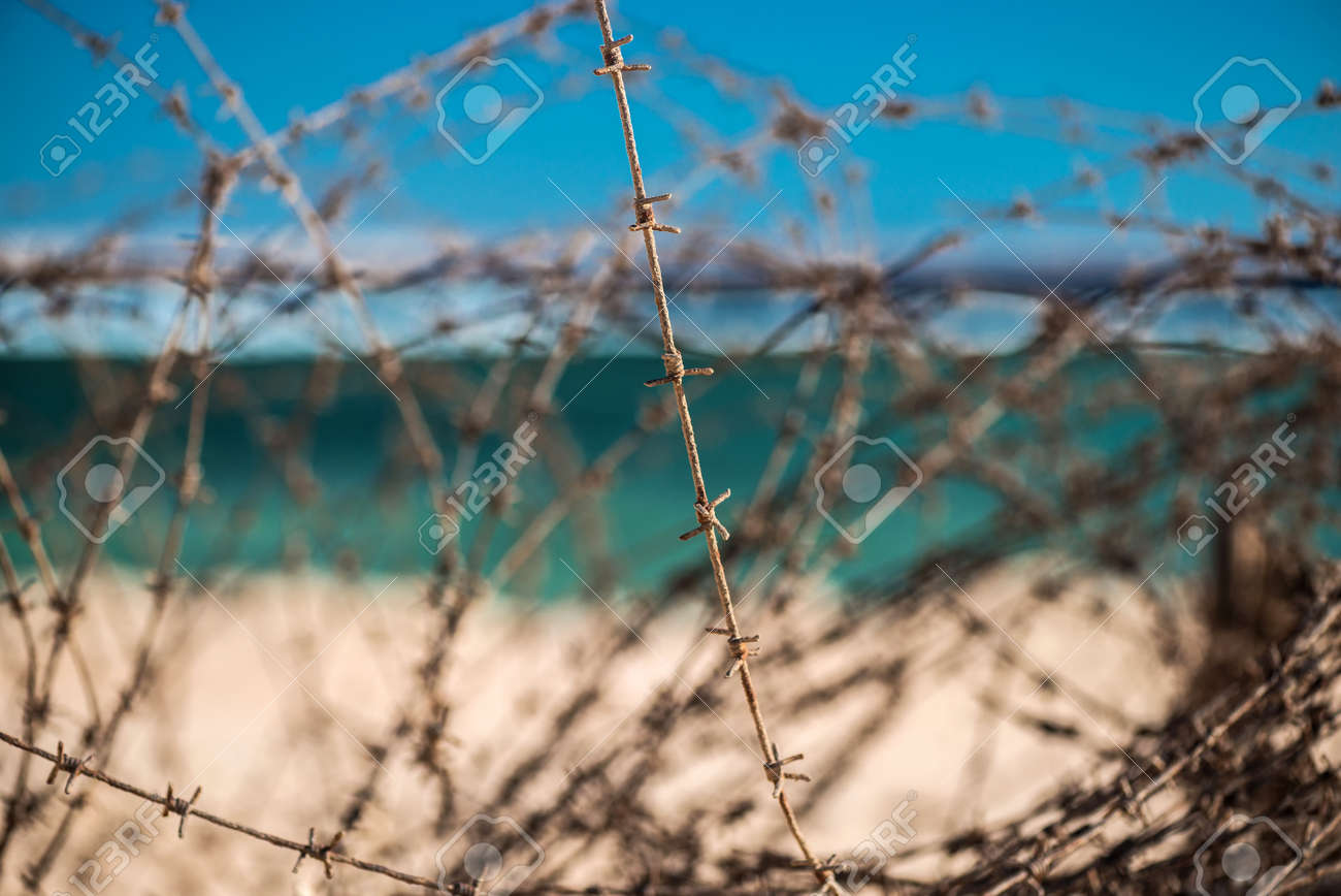barbed wire safety