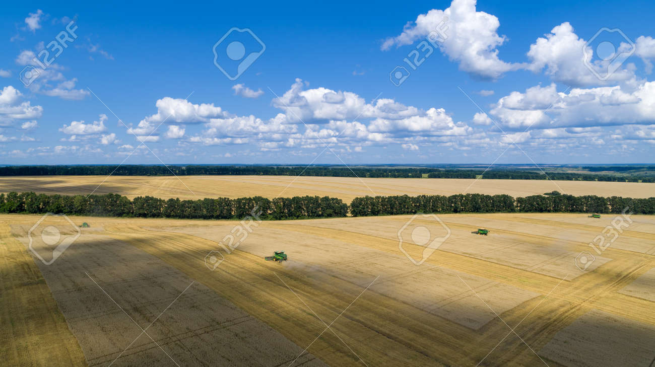 Harvester Machine to Harvest Wheat Field Working Aerial View - 172375285 Harvester Machine to Harvest Wheat Field Working Aerial View - 172375285