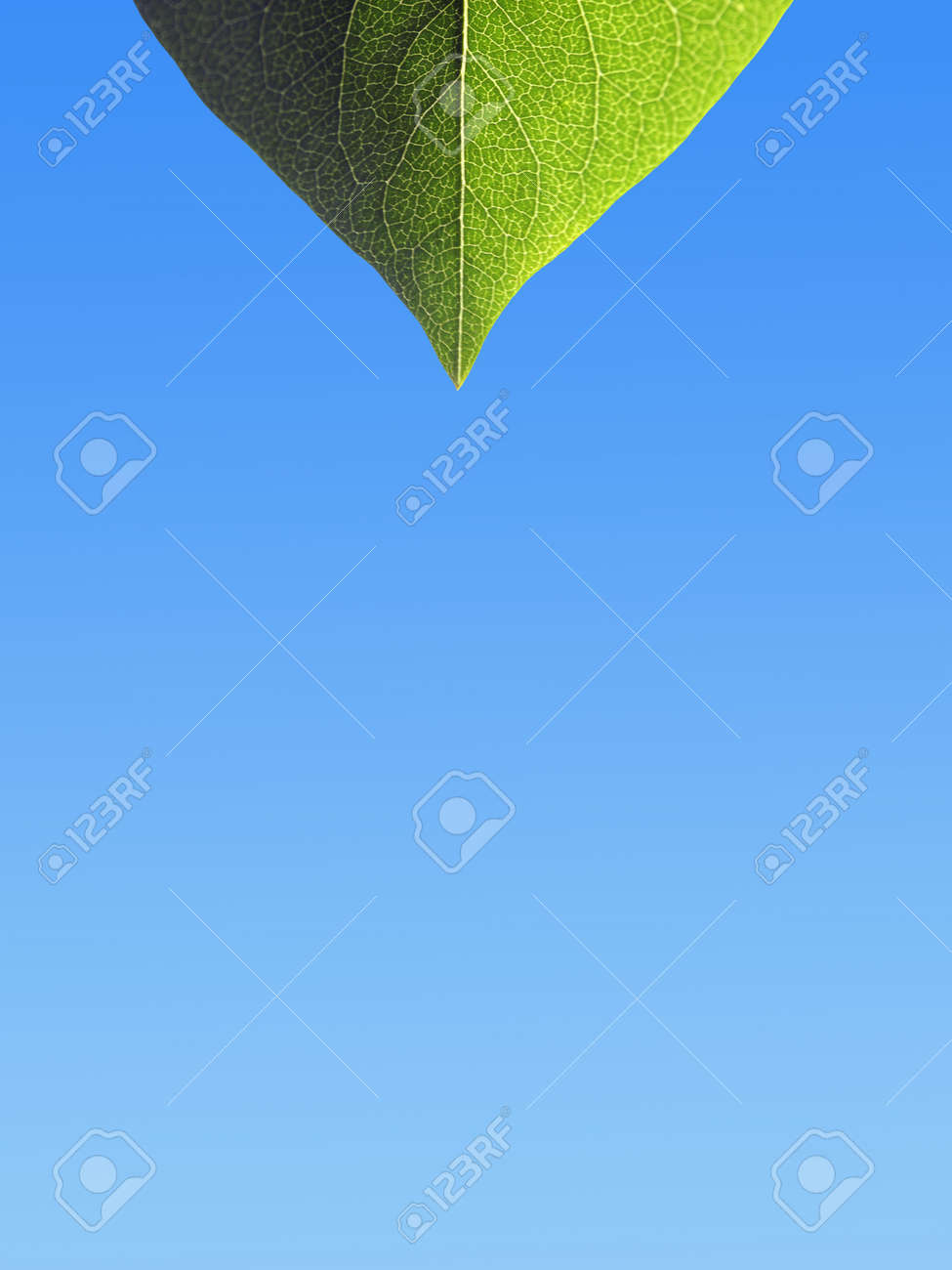 graduated photo background
