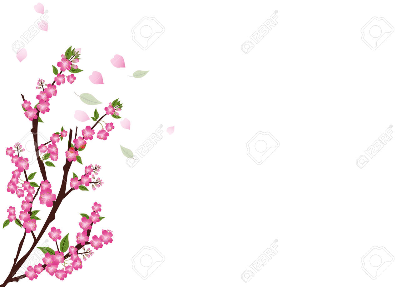 コピー スペースと白で桜の花 桜のフレーム コーナー枠 白い背景で隔離のイラスト素材 ベクタ Image コピー スペースと白で桜の花 桜のフレーム コーナー枠 白い背景で隔離のイラスト素材 ベクタ Image