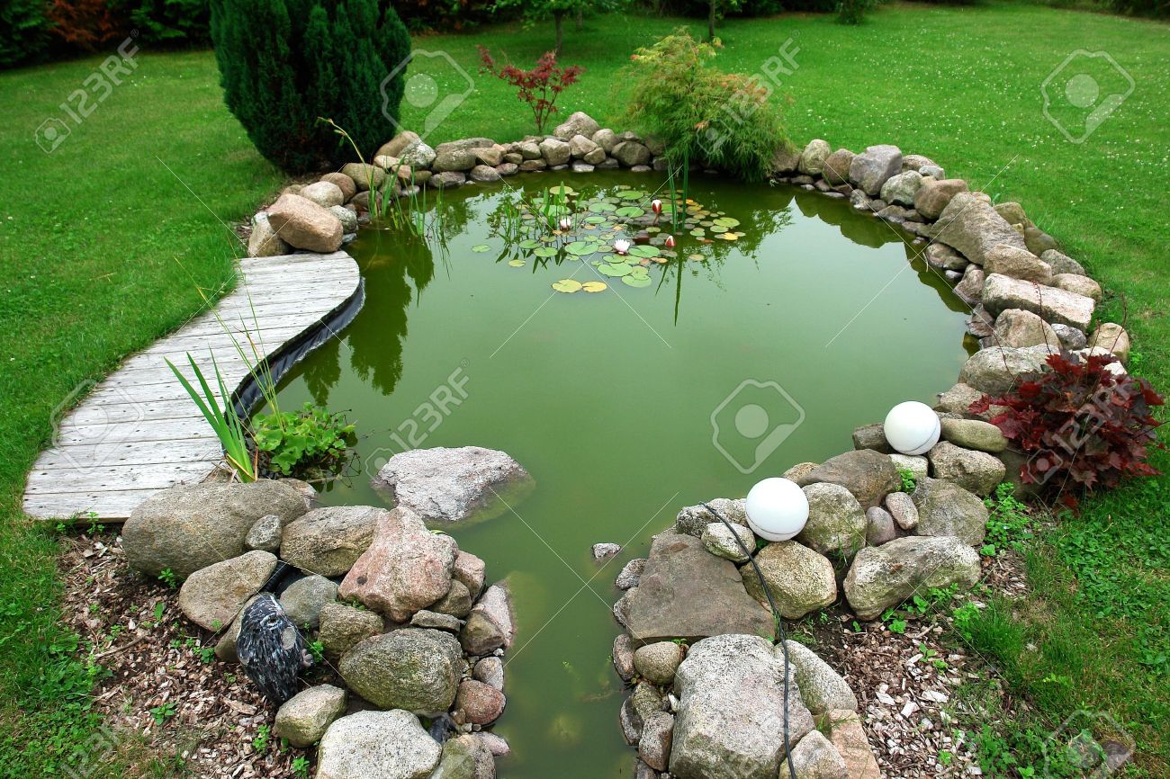 Beautiful classical design garden fish pond in a well cared backyard gardening background - 10021825 Beautiful classical design garden fish pond in a well cared backyard gardening background - 10021825