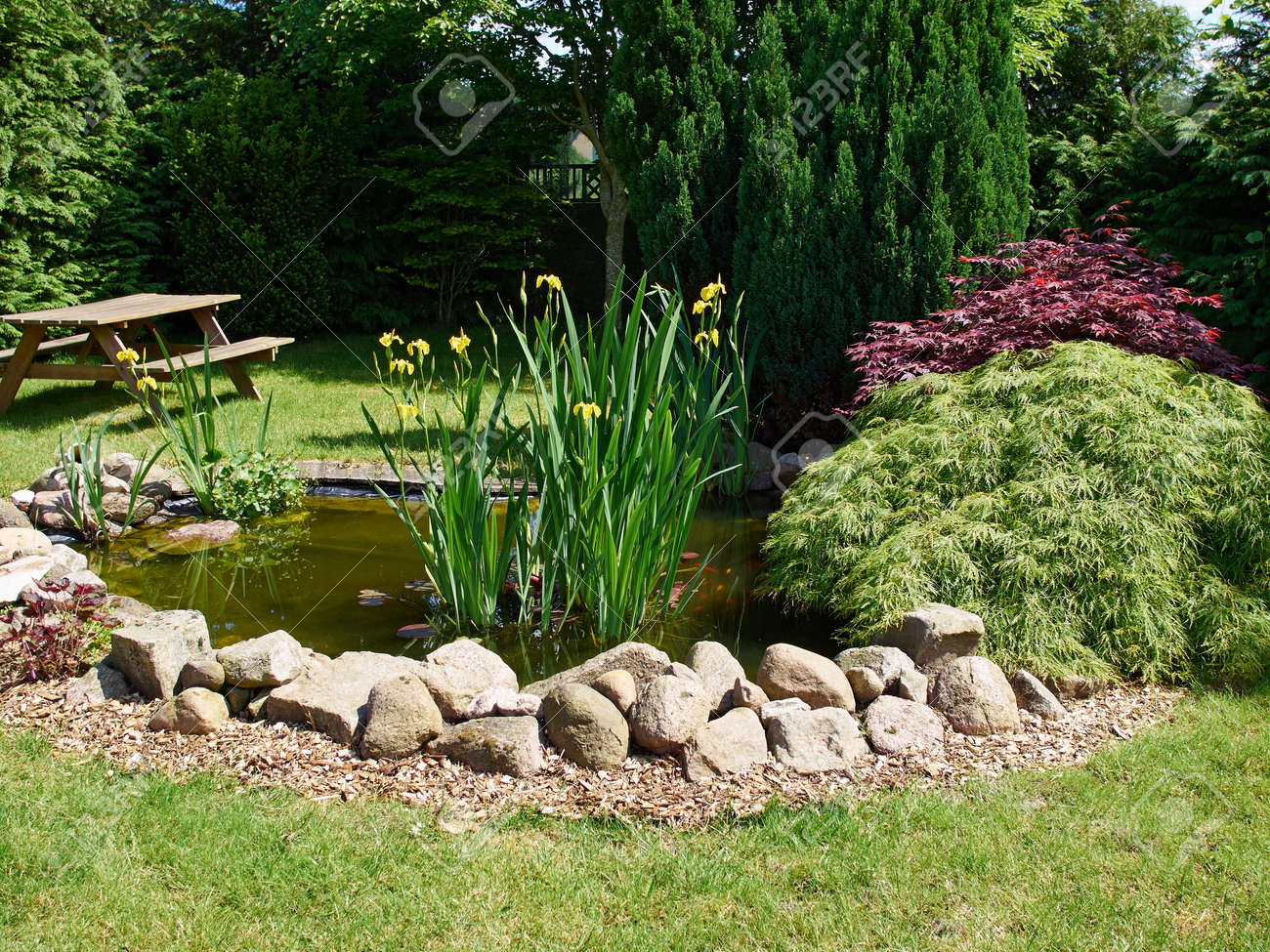 schone garten mit teich, schöne klassische garten fisch-teich mit gras im garten hintergrund, Design ideen