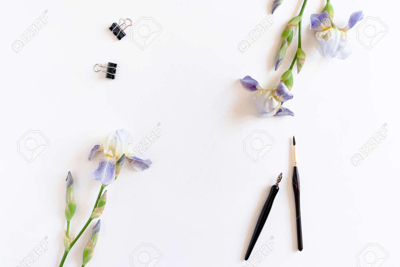 border frame made of iris flowers paper clips paint brushes paper iris flower