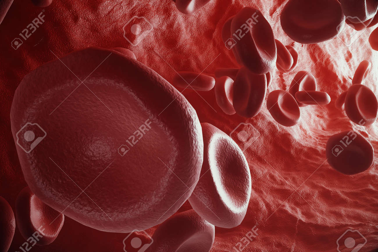 動脈 フロー概念人間医療 3 D レンダリングの体の中の細胞の赤血球 の写真素材 画像素材 Image 75920586