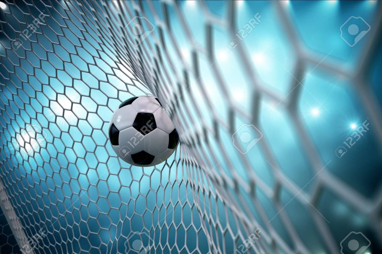 goaaal soccer net