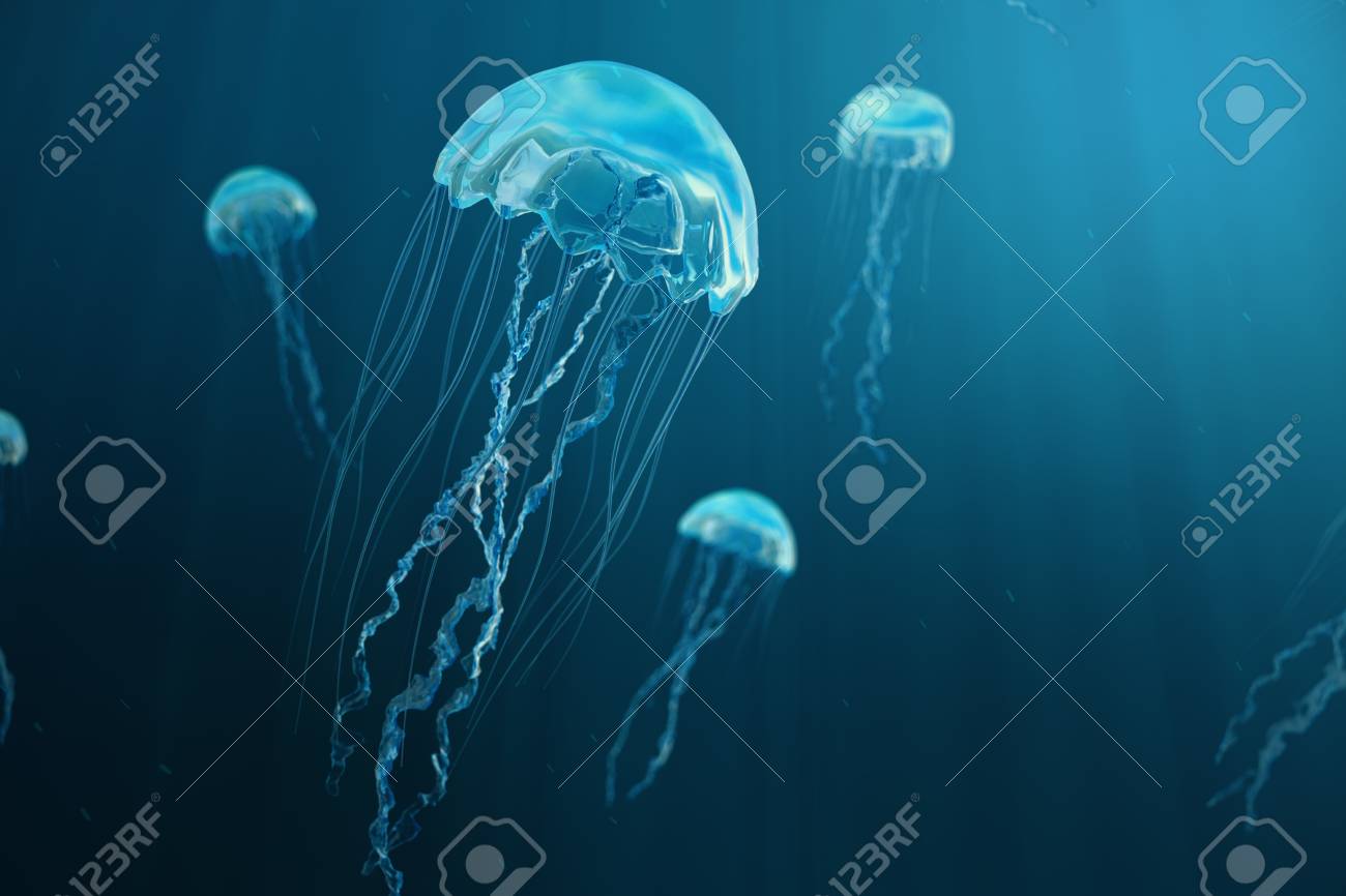 3D Illustration Background Of Jellyfish. Jellyfish Swims In The