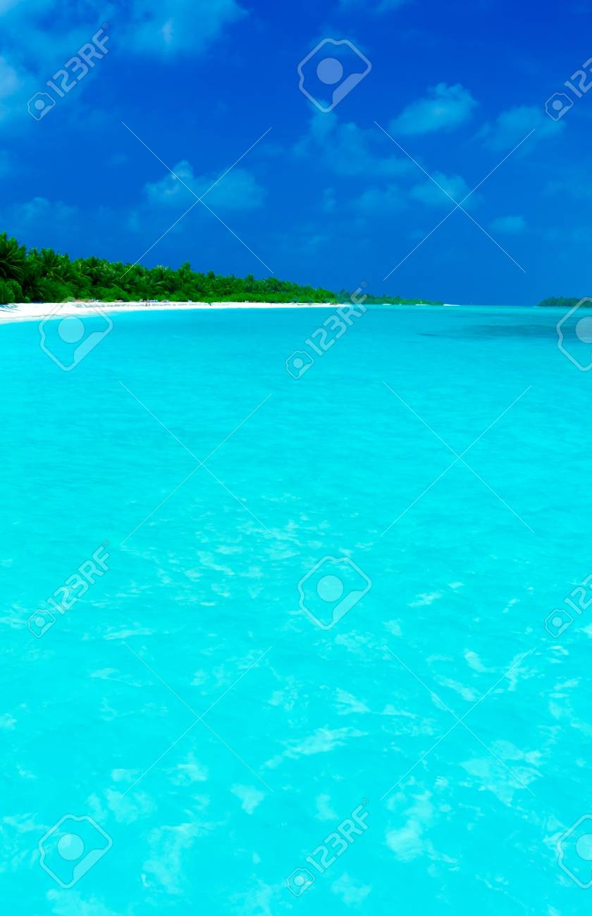 砂のビーチや海波 アリ環礁 モルディブ の写真素材 画像素材 Image