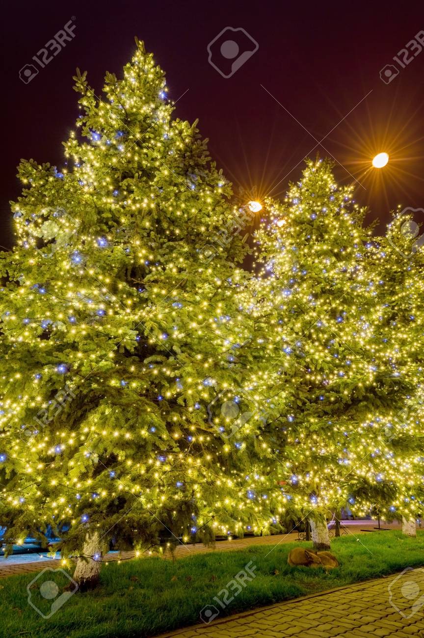 Christmas City Decorations Part - 18: Christmas City Decorations, Christmas Tree And Lights Garlands At Night Street Stock Photo - 93371387