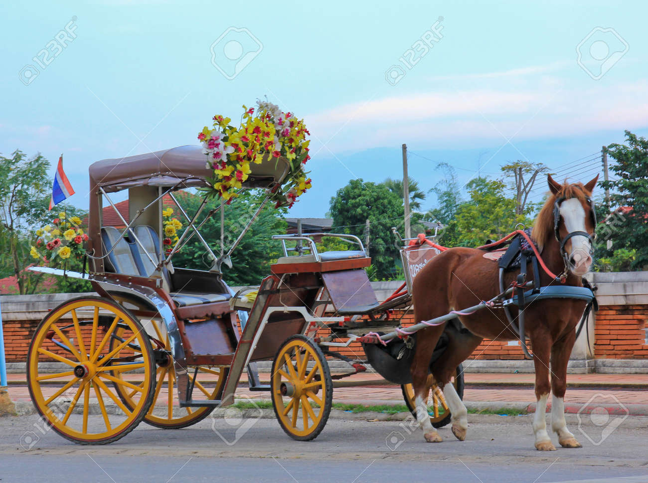 etiam-dictum-ipsum-a-felis