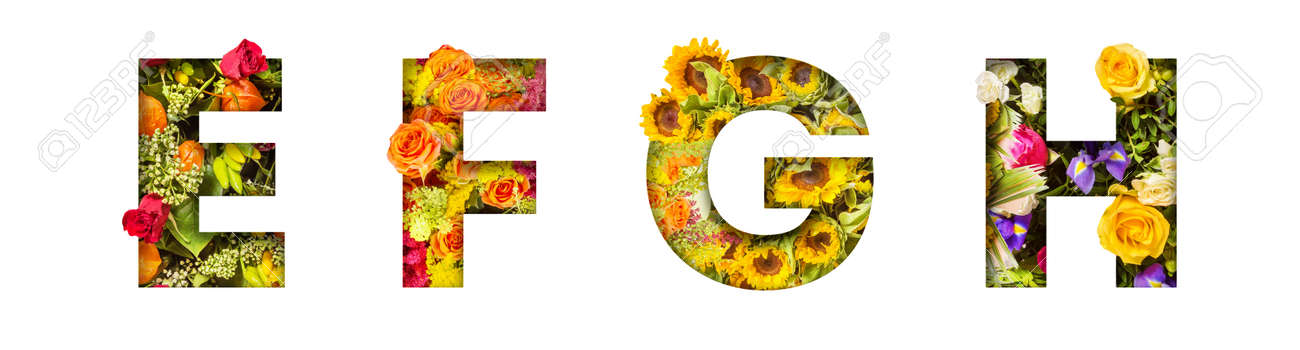 Floral letters. The letters E, F, G, H are made from colorful flower photos. A collection of wonderful flora letters for unique spring decorations and various creation ideas - 169111107 Floral letters. The letters E, F, G, H are made from colorful flower photos. A collection of wonderful flora letters for unique spring decorations and various creation ideas - 169111107