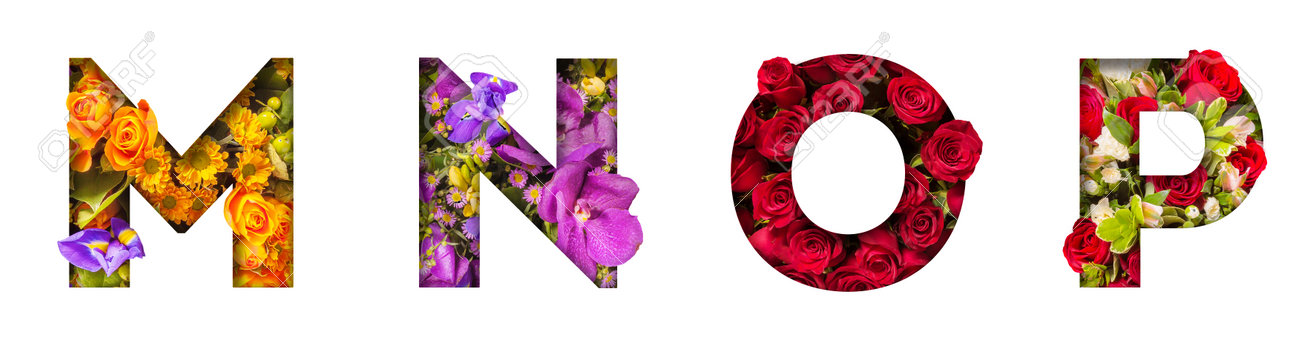 Floral letters. The letters M, N, O, P are made from colorful flower photos. A collection of wonderful flora letters for unique spring decorations and various creation ideas - 169111113 Floral letters. The letters M, N, O, P are made from colorful flower photos. A collection of wonderful flora letters for unique spring decorations and various creation ideas - 169111113