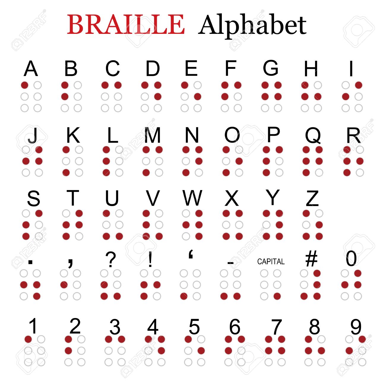 braille alphabet punctuation and numbers vector illustration