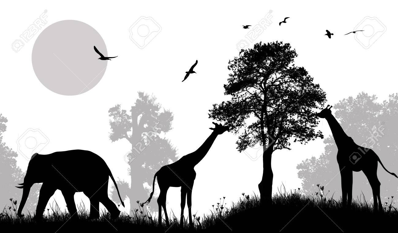 Safari Wild Animals Silhouette On Black And White Vector